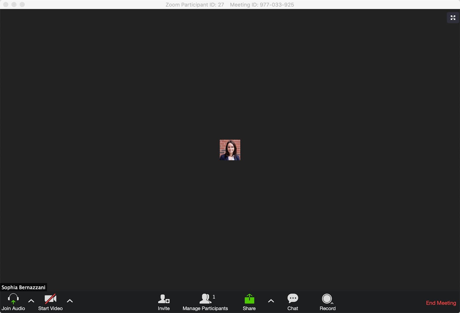 zoom meeting conducted without sharing video